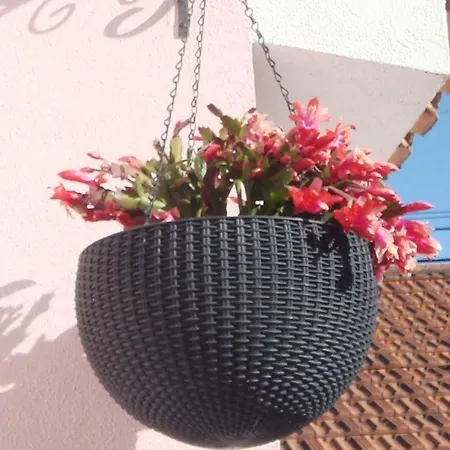 Vakantiehuis Campo De Oleandros Lourinhã