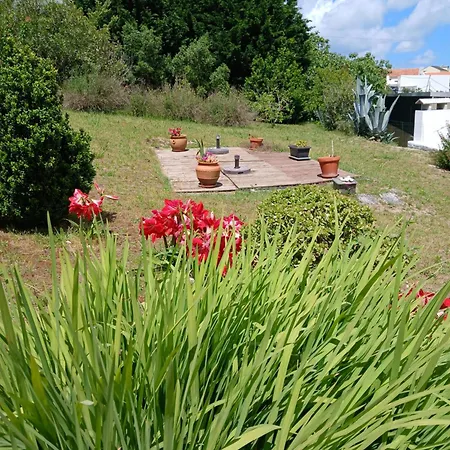 Campo De Oleandros Lourinhã