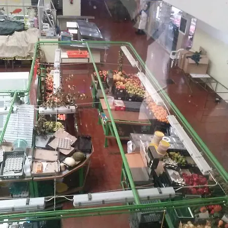 Campo De Oleandros Tatil Evi Lourinhã