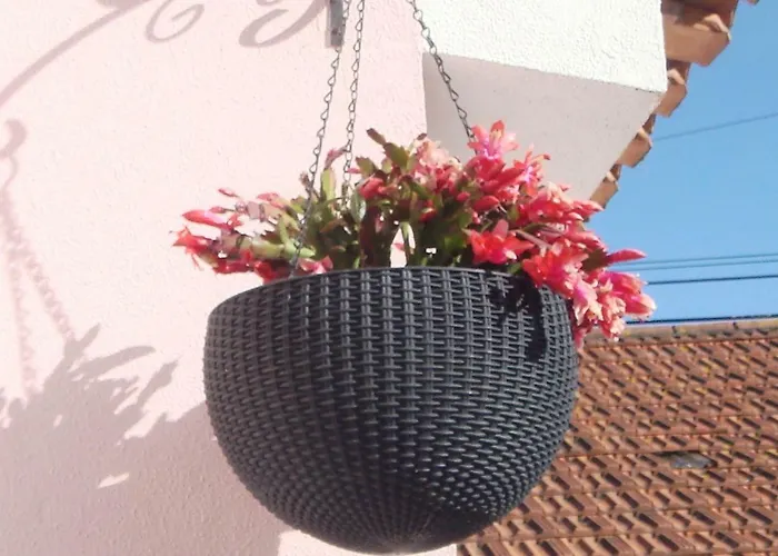 Tatil Evi Campo De Oleandros Lourinhã